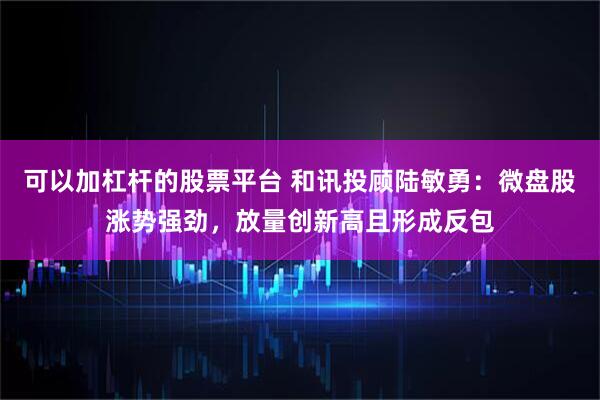 可以加杠杆的股票平台 和讯投顾陆敏勇：微盘股涨势强劲，放量创新高且形成反包