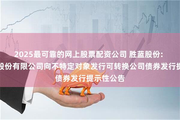 2025最可靠的网上股票配资公司 胜蓝股份: 胜蓝科技股份有限公司向不特定对象发行可转换公司债券发行提示性公告