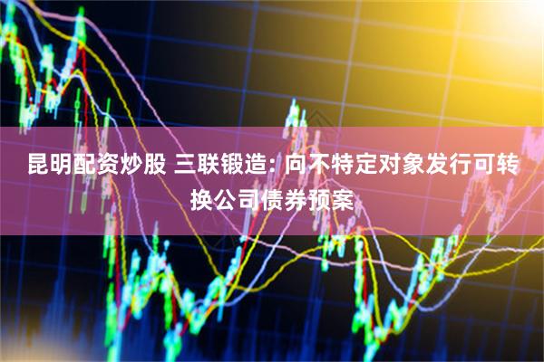 昆明配资炒股 三联锻造: 向不特定对象发行可转换公司债券预案